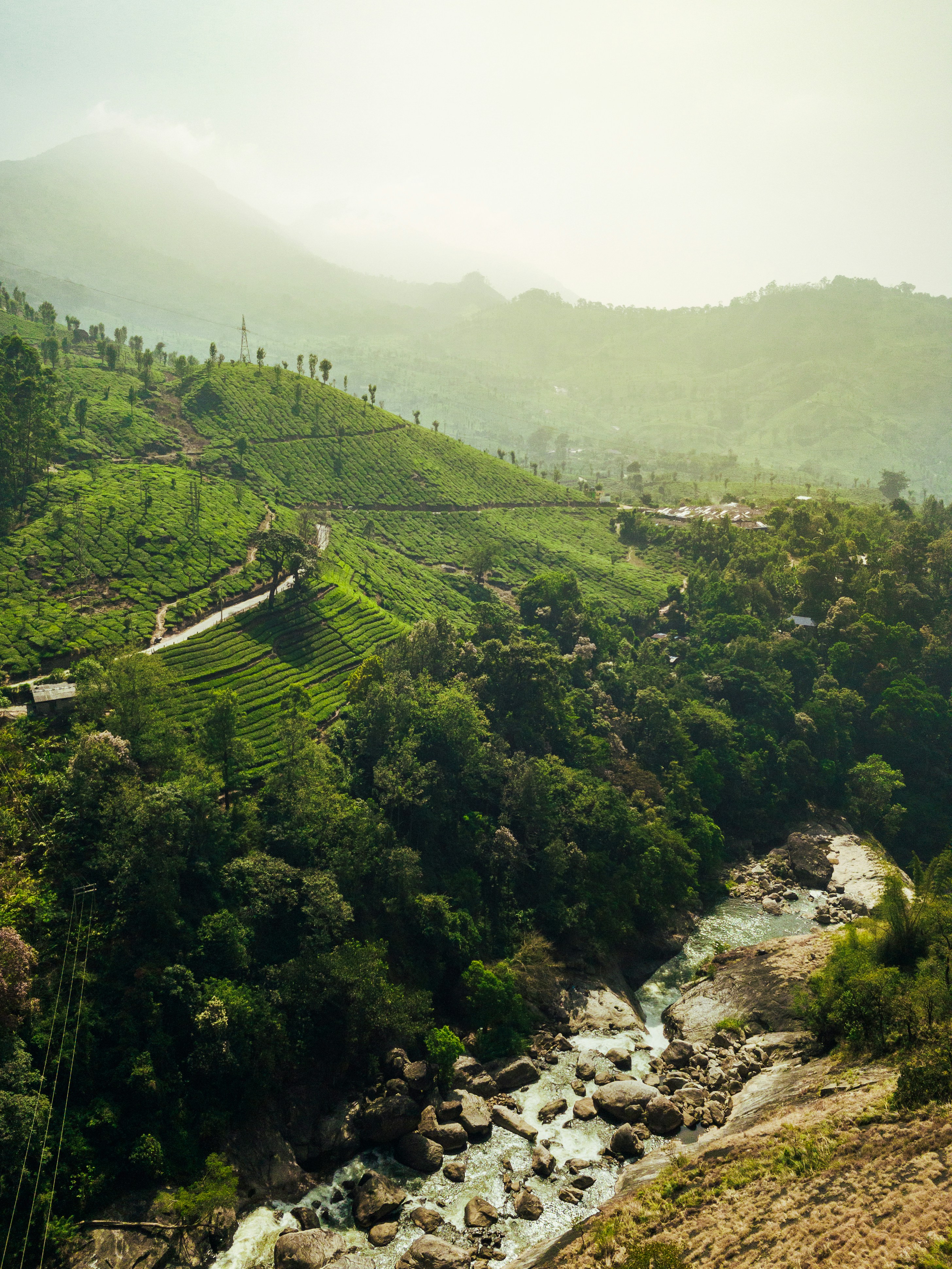 Activities at Munnar Town House