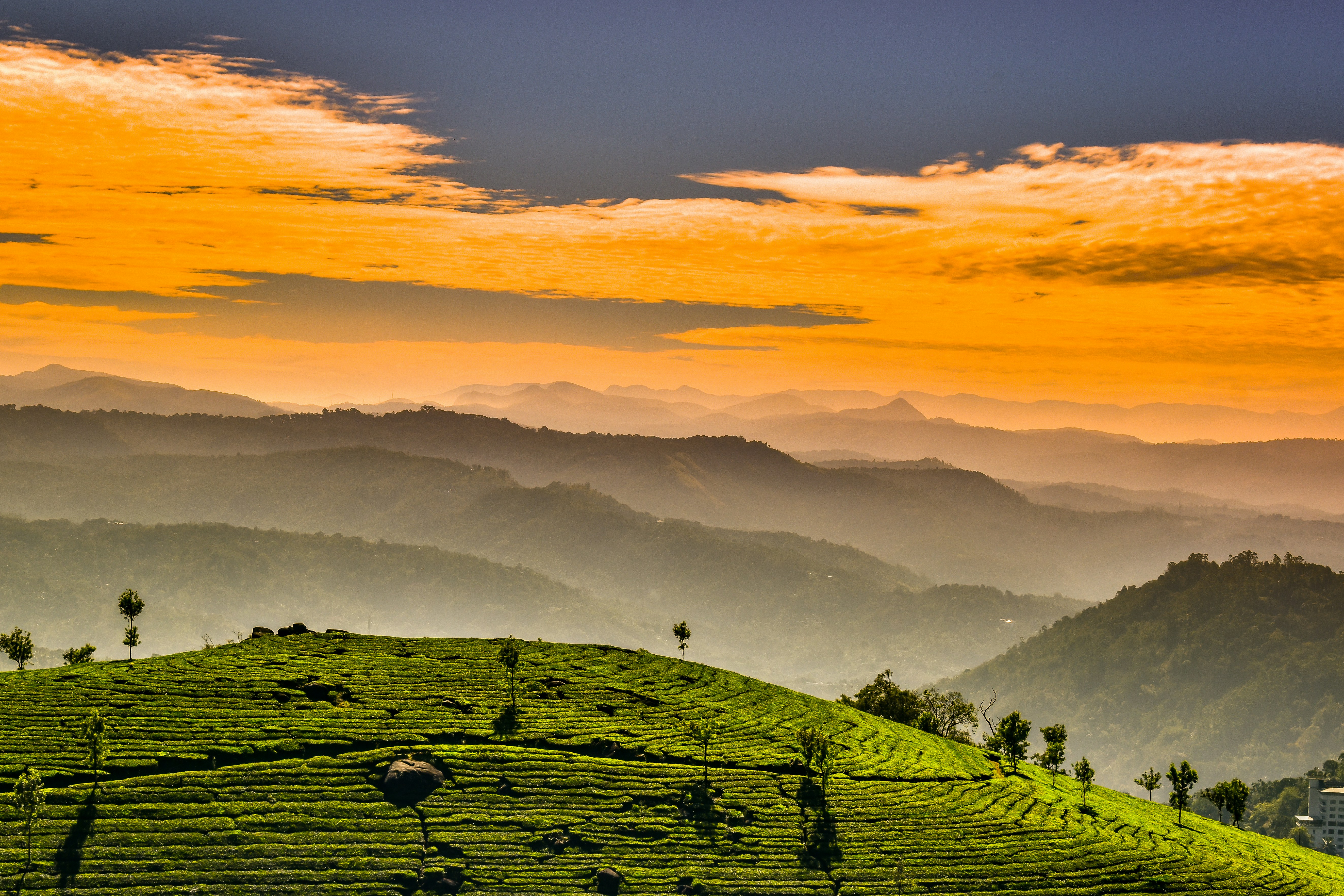 Contact Munnar Town House