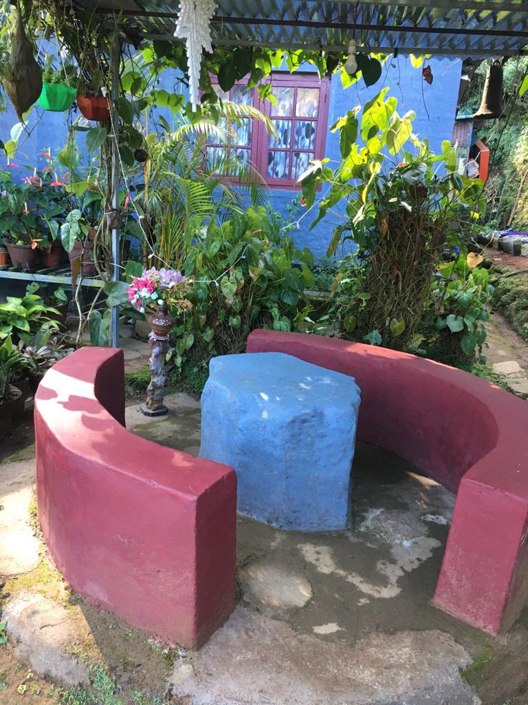 Nature Walk and Trekking in Munnar