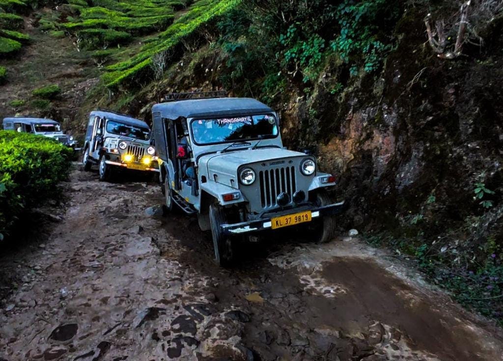 Jeep Safari in Munnar