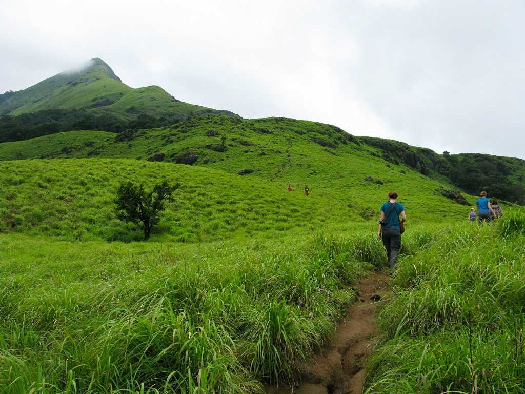 Nature Walk and Trekking in Munnar